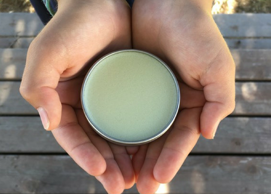 Herbal Spotlight: Arnica {+ an Arnica Balm Recipe}