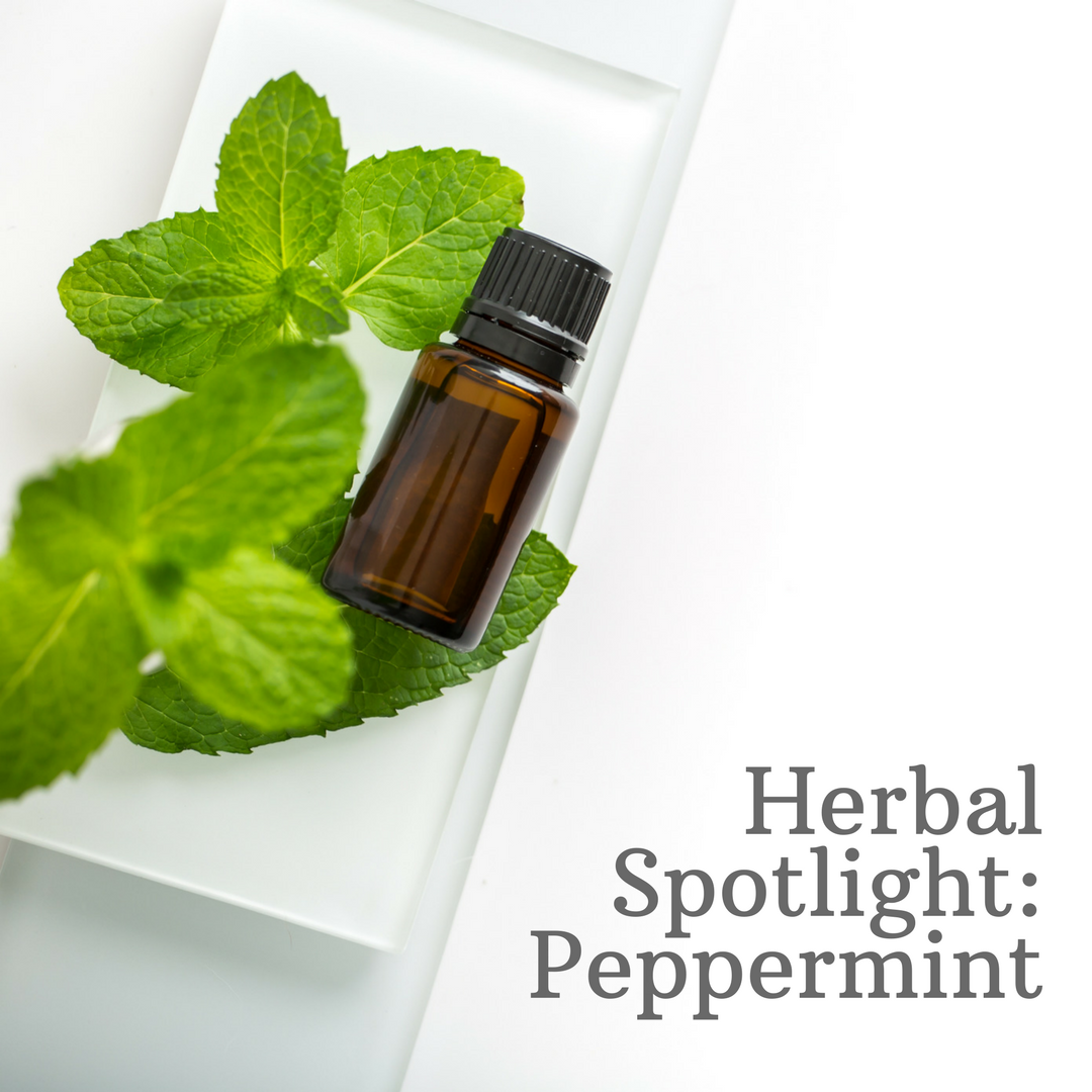 Herbal Spotlight: Peppermint