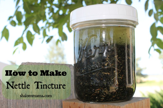 How to Make Nettle Tincture